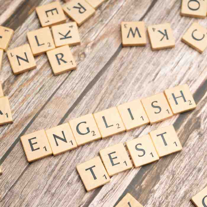 Duolingo English Test—Alternatives for IELTS